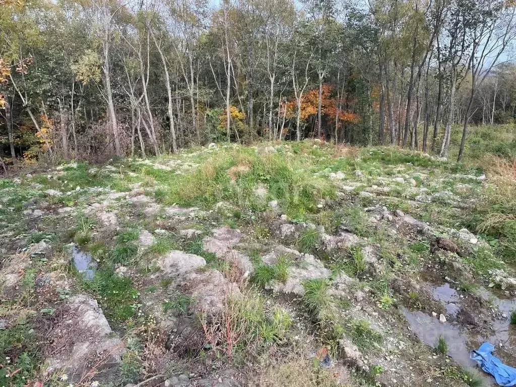 Участок в Сахалинская область, Анивский городской округ, с. Троицкое  ... - Фото 1