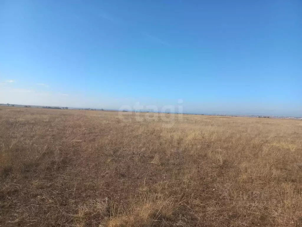 Участок в Крым, Черноморский район, с. Межводное ул. Солнечная (4.94 ... - Фото 0