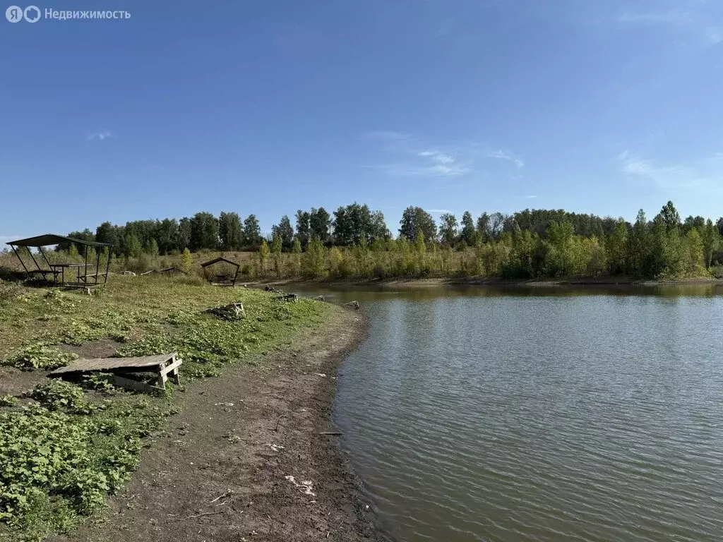 Участок в Частая Дубрава, Придорожная улица (30 м) - Фото 0