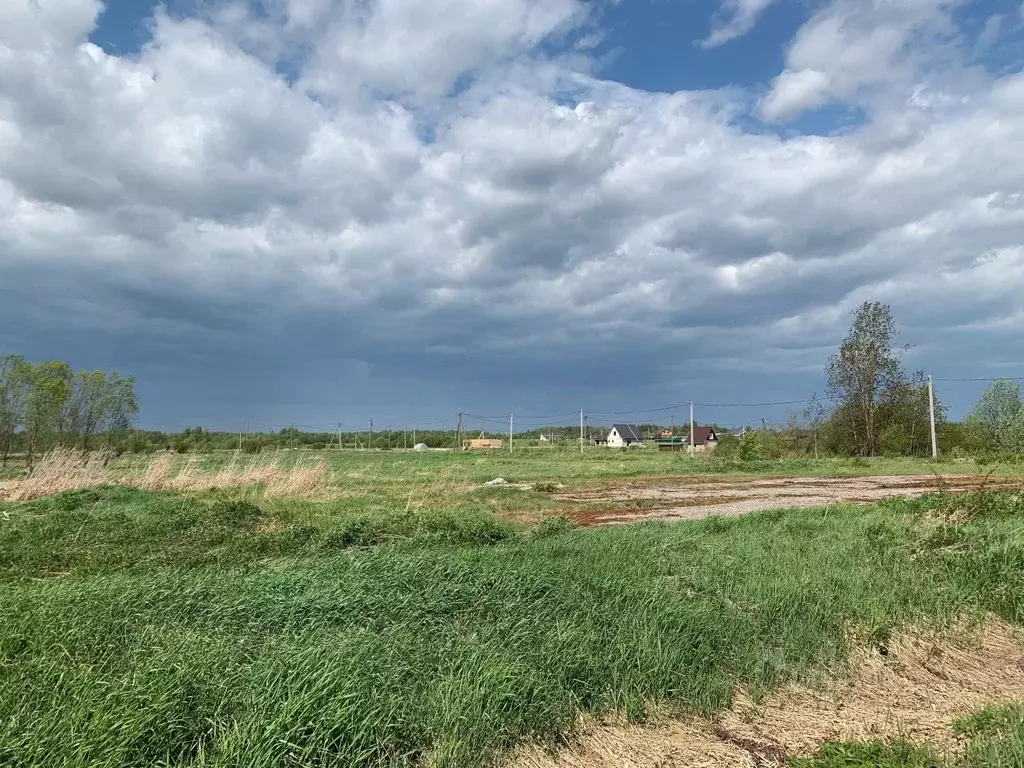 Участок в Вологодская область, Шекснинский муниципальный округ, д. ... - Фото 2