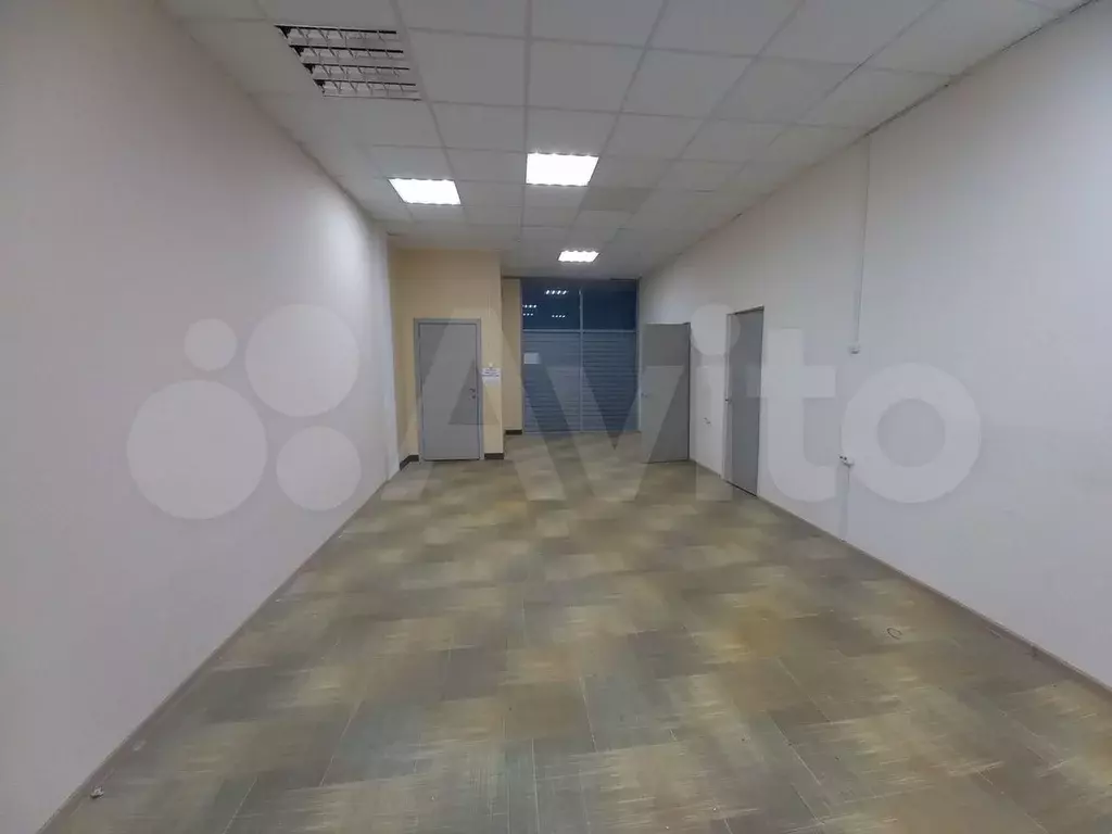 Свободного назначения, 50 м - Фото 0