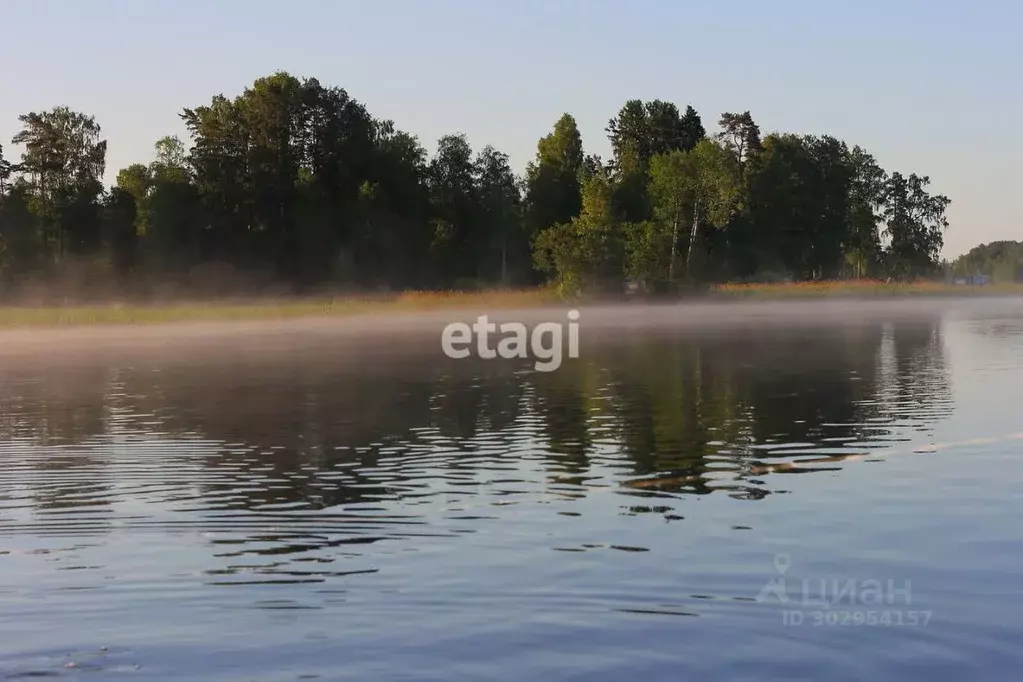 Участок в Ленинградская область, Приозерский район, Ларионовское ... - Фото 1