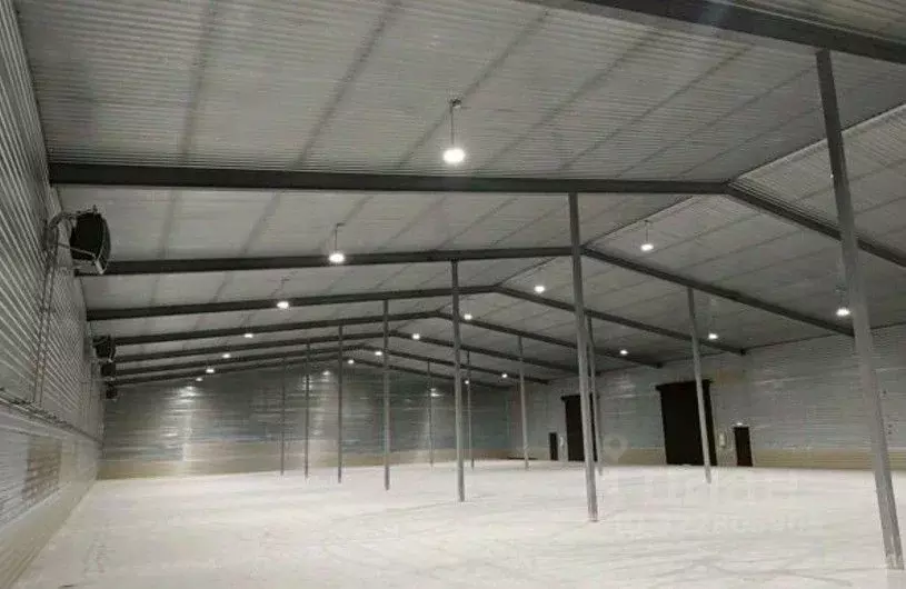 Склад в Ленинградская область, Тельмана Тосненский район, ул. ... - Фото 1