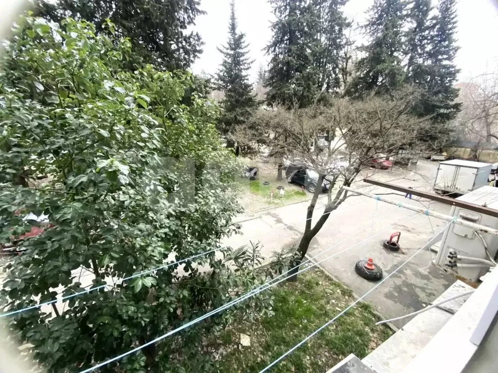 Студия Краснодарский край, Сочи Пластунская ул., 129 (15.0 м) - Фото 1