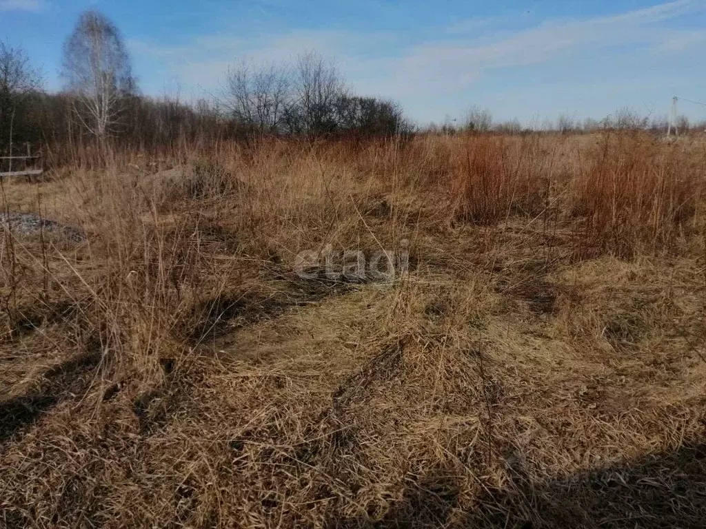 Участок в Тюменская область, с. Ярково  (6.0 сот.) - Фото 0