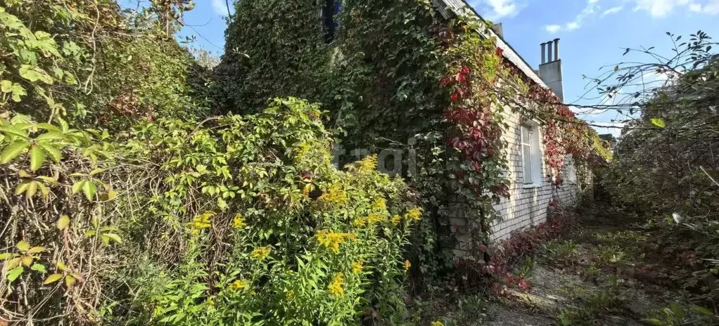 Дом в Костромская область, Костромской район, Никольское с/пос, д. ... - Фото 1