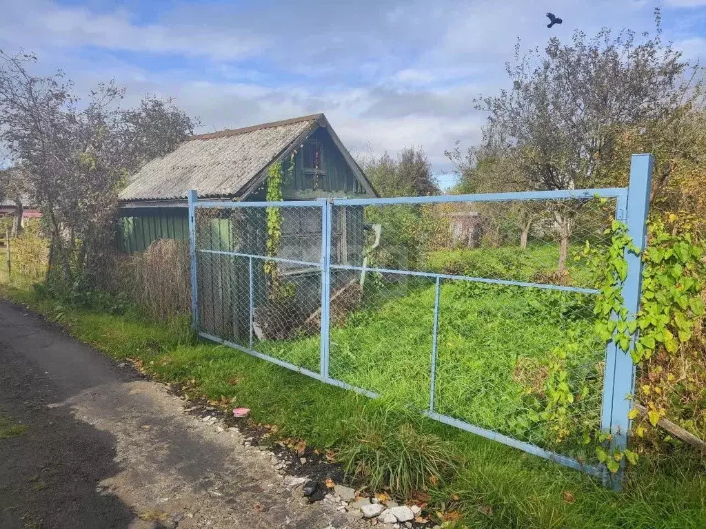 Участок в Калининградская область, Калининград Весна СНТ, ул. Маячная, ... - Фото 1