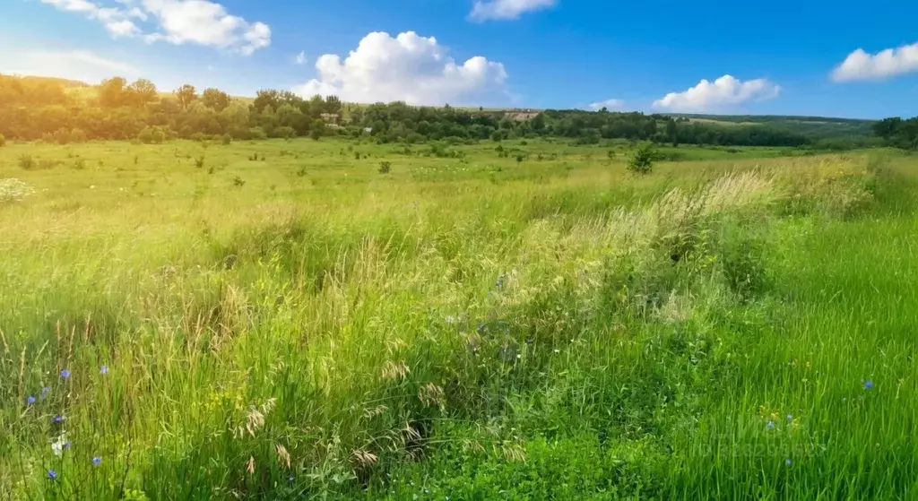Участок в Башкортостан, Иглинский район, Акбердинский сельсовет, с. ... - Фото 1