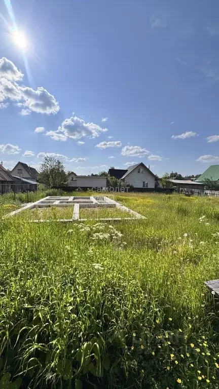 Участок в Коми, Сыктывдинский муниципальный район, Лэзым муниципальное ... - Фото 2
