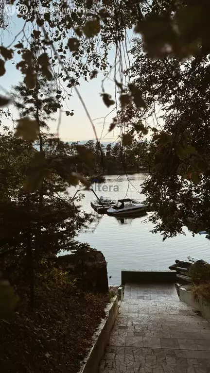 Участок в деревня Матюшино, Грибная улица, 10А (7.7 м) - Фото 2