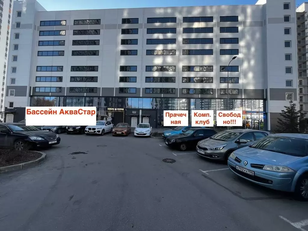 Помещение свободного назначения в Санкт-Петербург просп. ... - Фото 1