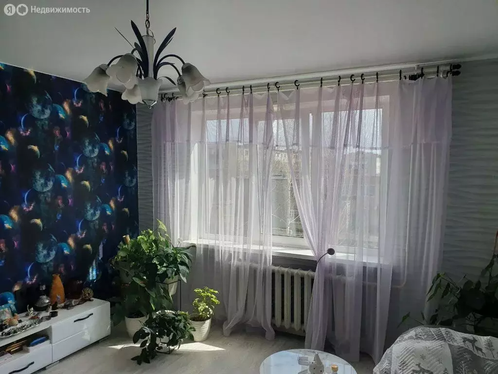 3-комнатная квартира: Екатеринбург, улица Молодёжи, 80 (58.2 м) - Фото 2