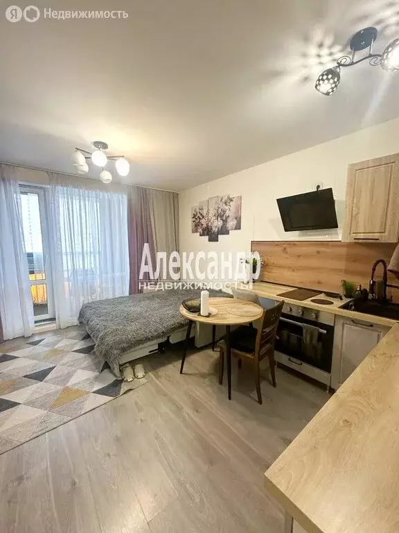 Квартира-студия: деревня Новосаратовка, улица Первых, 2к1 (26.5 м) - Фото 1