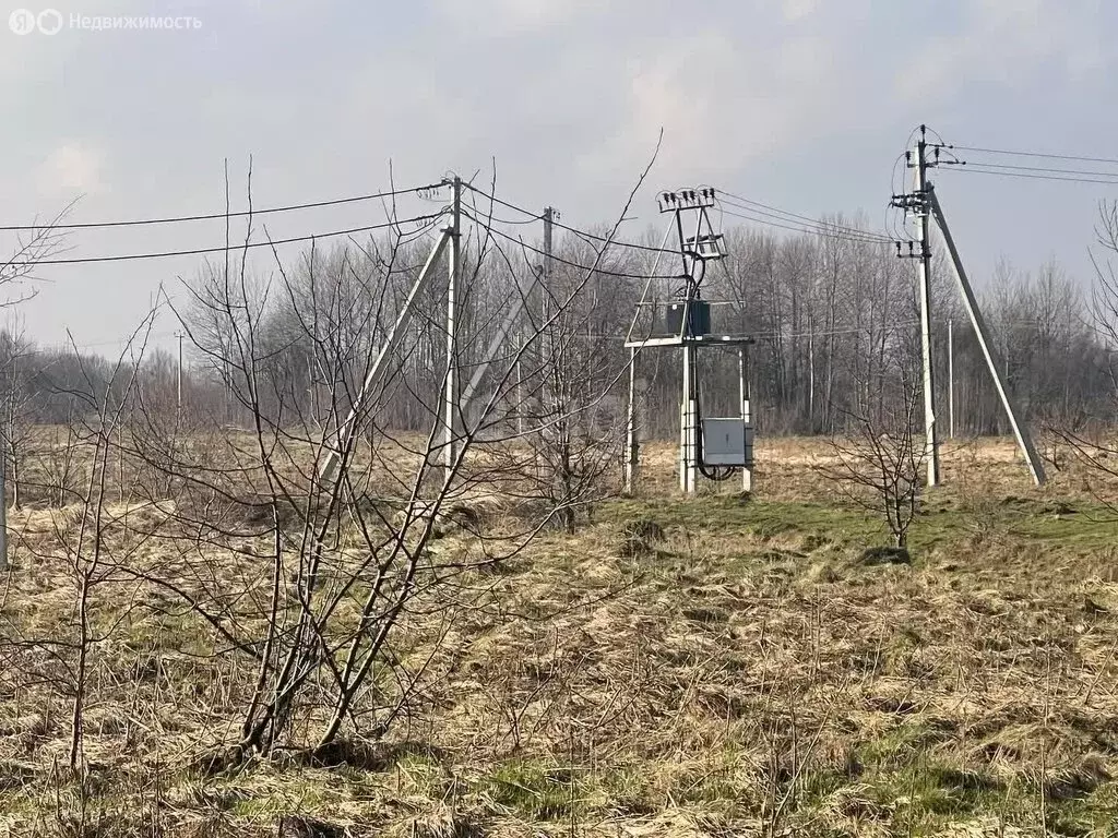 Участок в Калининградская область, Гурьевский муниципальный округ, ... - Фото 1