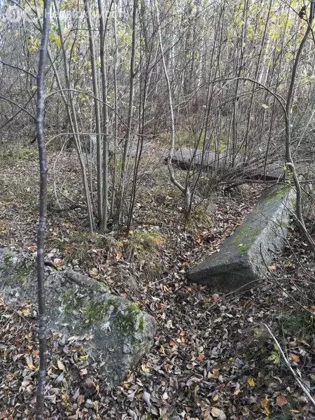 Участок в Усть-Лужское сельское поселение, деревня Межники (25 м) - Фото 1