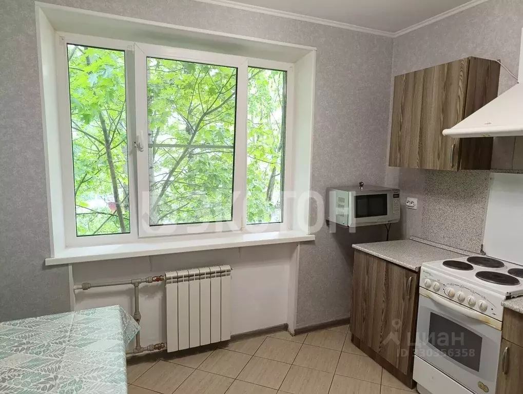 1-к кв. Санкт-Петербург ул. Жени Егоровой, 10к1 (33.1 м) - Фото 2