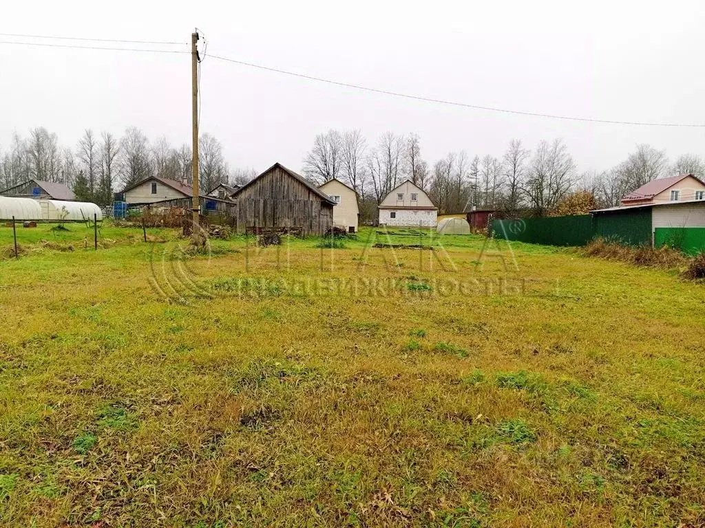 Участок в Ленинградская область, Кингисеппский район, Большелуцкое ... - Фото 1