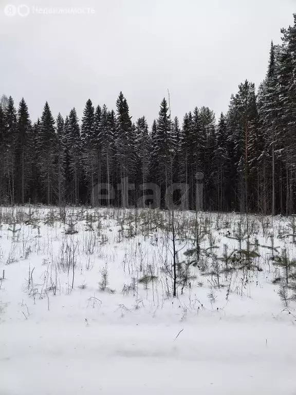 Участок в Республика Коми, муниципальный район Корткеросский, ... - Фото 0