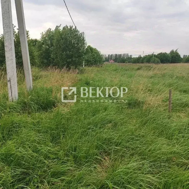 Участок в Ярославская область, Ярославский муниципальный округ, д. ... - Фото 1