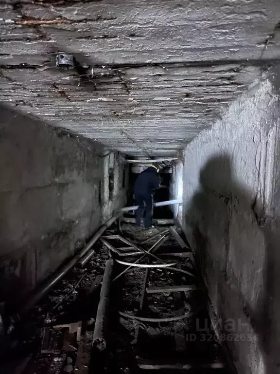 Помещение свободного назначения в Архангельская область, Вычегодский ... - Фото 1