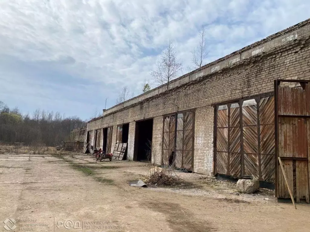 Производственное помещение в Смоленская область, Духовщина ул. ... - Фото 0