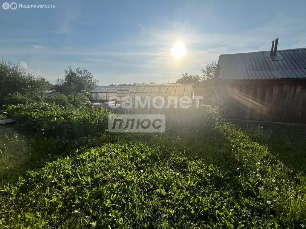 Участок в Ревда, садово-огородническое товарищество № 2 ... - Фото 0