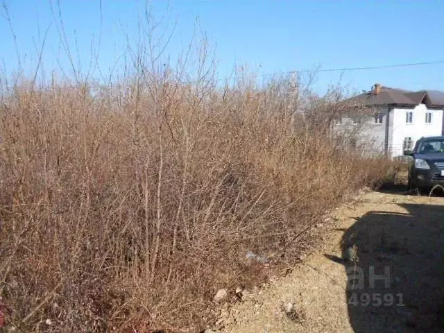 Участок в Приморский край, Партизанский муниципальный округ, с. ... - Фото 0