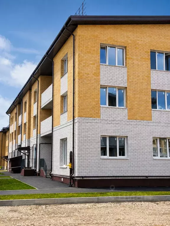 1-к кв. Владимирская область, Суздаль Советская ул., 65 (39.25 м) - Фото 2