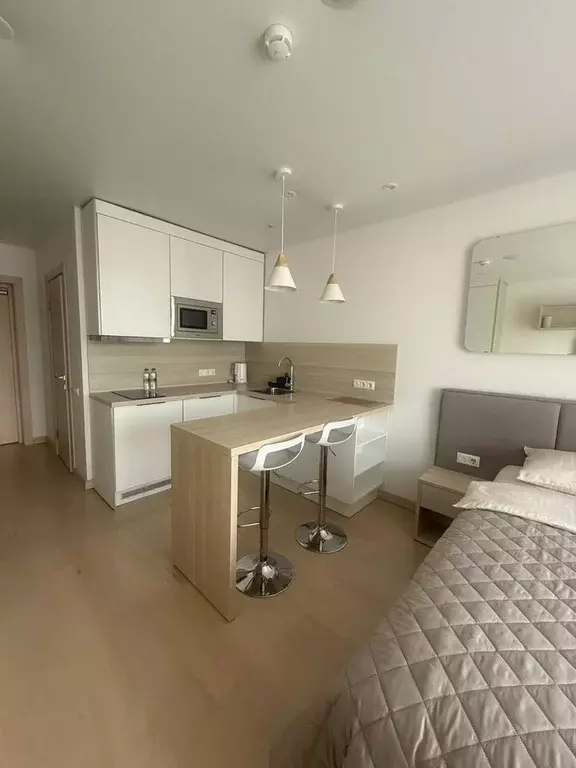 Студия Санкт-Петербург Социалистическая ул., 21 (28.0 м) - Фото 2