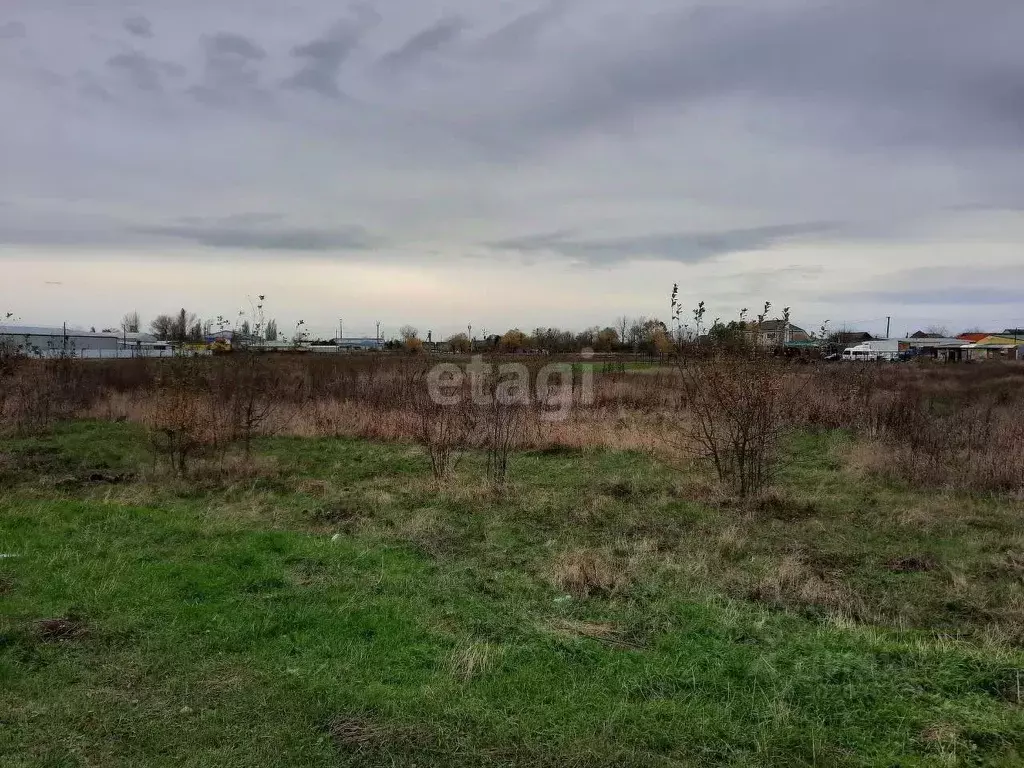 Участок в Краснодарский край, Красноармейский район, Новомышастовское ... - Фото 1