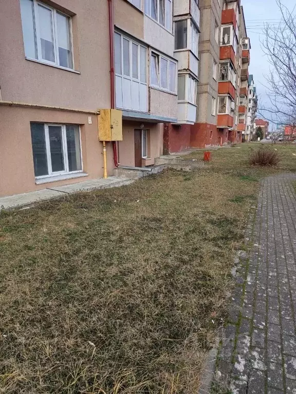 Помещение свободного назначения в Калининградская область, Светлый ... - Фото 1