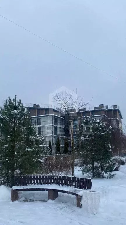 3-к кв. Санкт-Петербург Поселок Лисий НОС, ул. Ивановская, 10 (100.0 ... - Фото 1