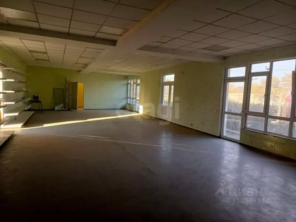 Торговая площадь в Крым, Сакский район, Ореховское с/пос, с. Червоное ... - Фото 1