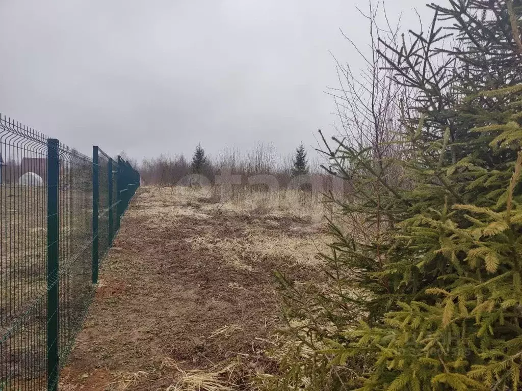 Участок в Московская область, Можайский муниципальный округ, Стрижи ... - Фото 1