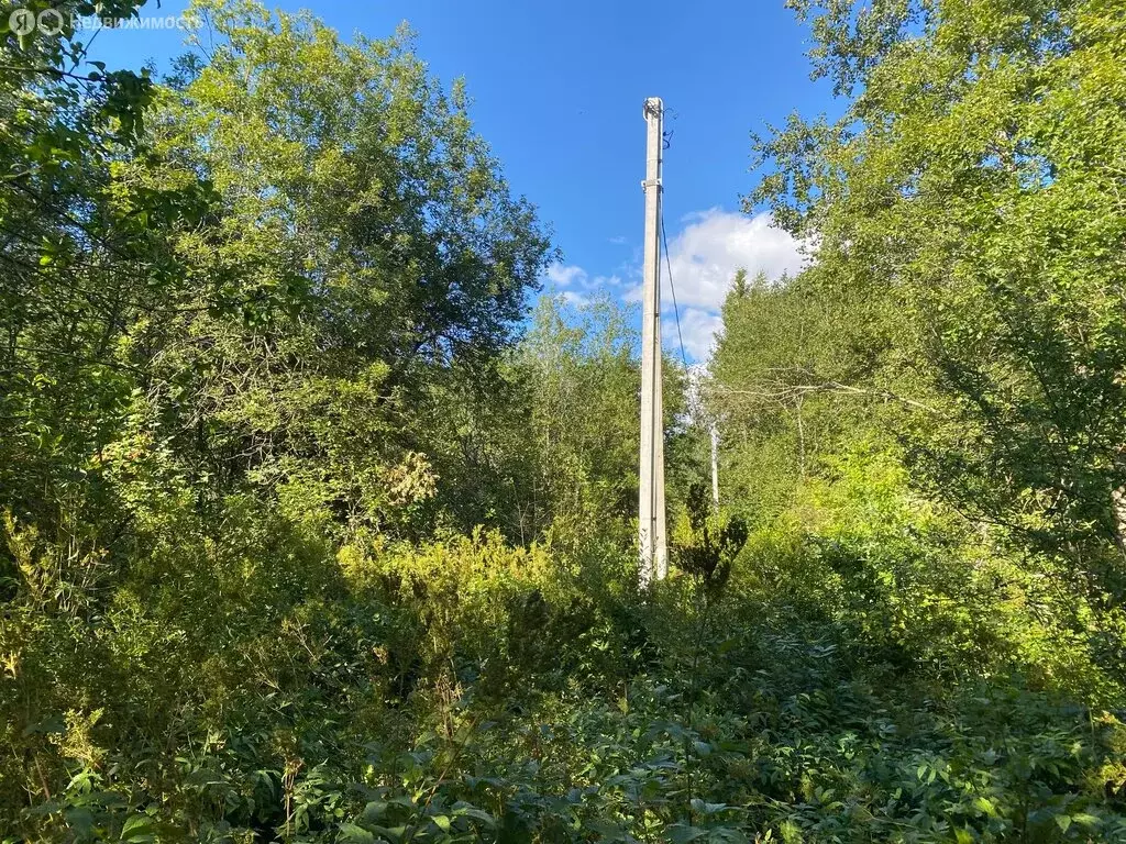 Участок в Псковская область, городское поселение Гдов, деревня Черма ... - Фото 2