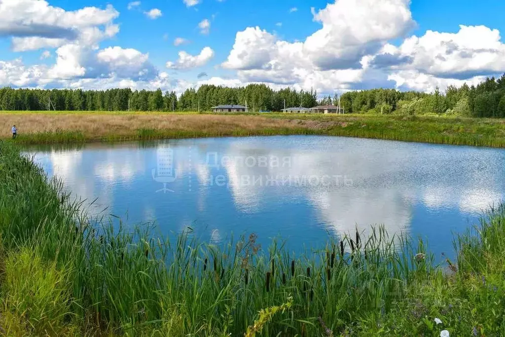 Участок в Новгородская область, Новгородский муниципальный округ, ... - Фото 2