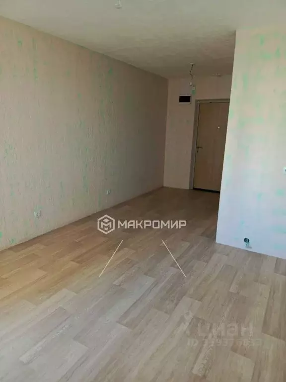 Студия Ленинградская область, Ломоносовский район, Виллозское ... - Фото 0