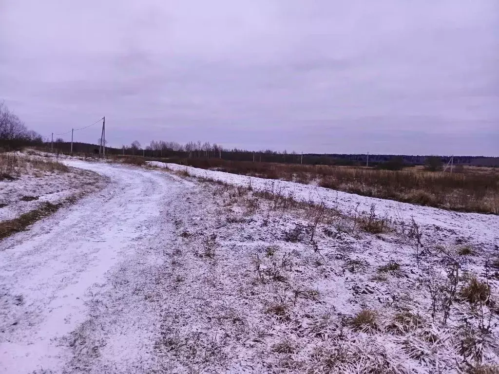 Участок в Московская область, Егорьевск городской округ, д. Полбино  ... - Фото 1