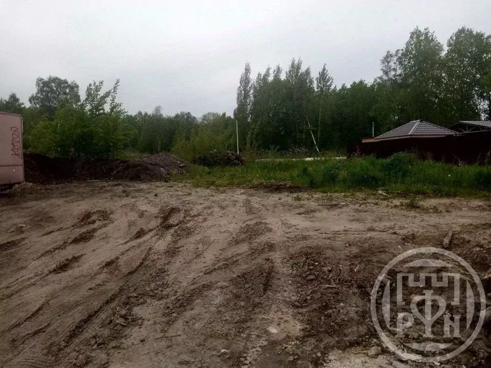 Участок в Ленинградская область, Всеволожский район, Романовское ... - Фото 1