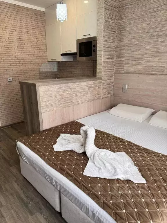 Студия Ставропольский край, Пятигорск Первомайская ул., 92К4 (18.0 м) - Фото 2