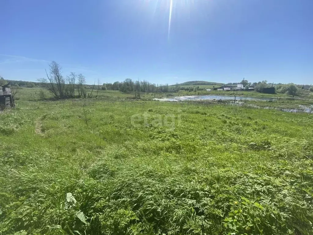 Дом в Свердловская область, Невьянский городской округ, с. Шайдуриха  ... - Фото 1