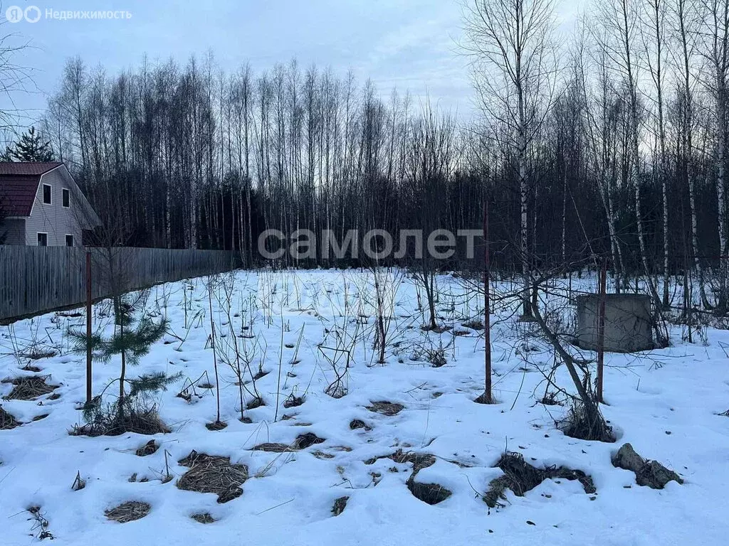 Участок в Наро-Фоминский городской округ, СНТ Ивушка (10 м) - Фото 0