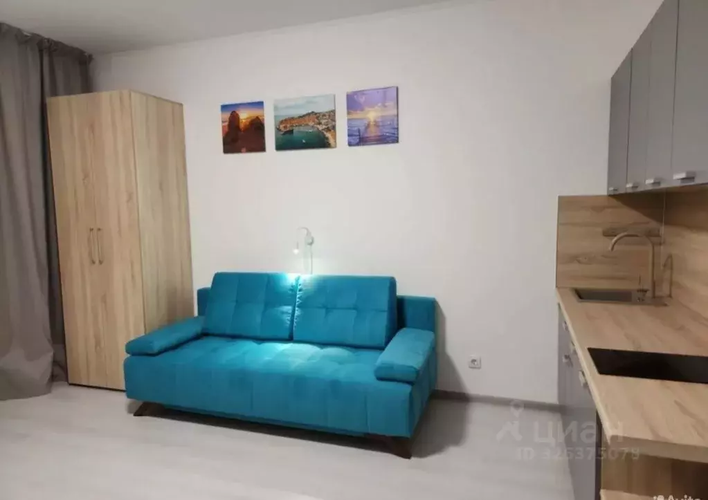 Студия Санкт-Петербург аллея Арцеуловская, 15 (24.0 м) - Фото 2