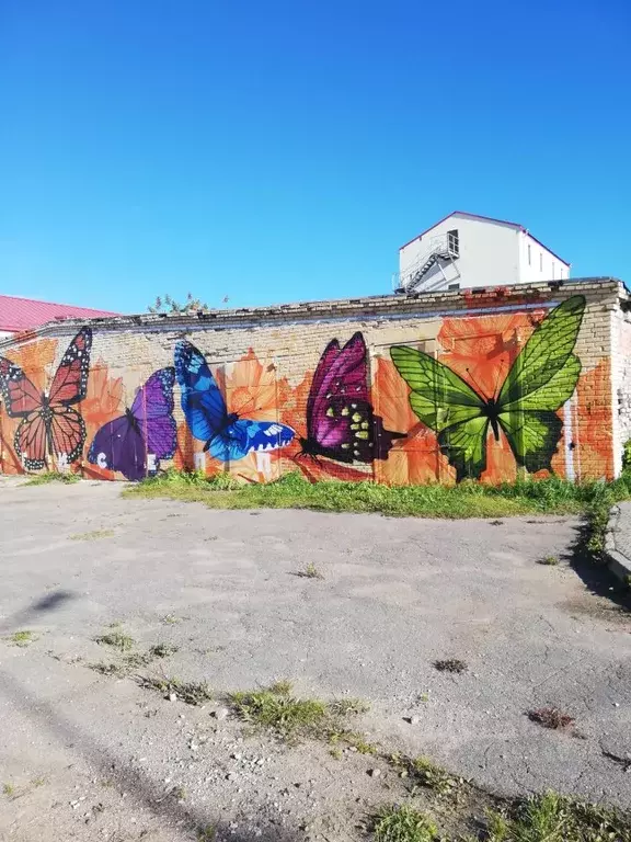 Гараж в Ленинградская область, Кингисепп просп. Карла Маркса, 40 (64 ... - Фото 2