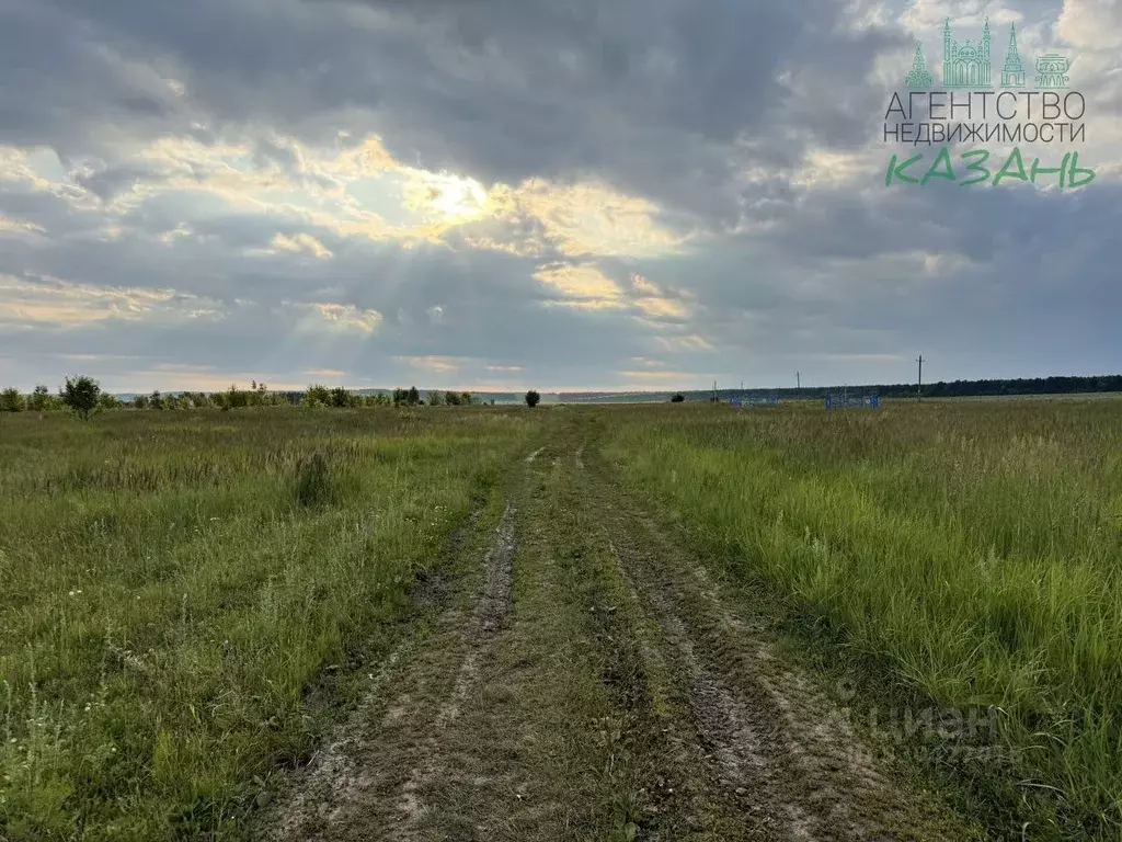 Участок в Татарстан, Лаишевский район, Чирповское с/пос, с. Чирпы  ... - Фото 2