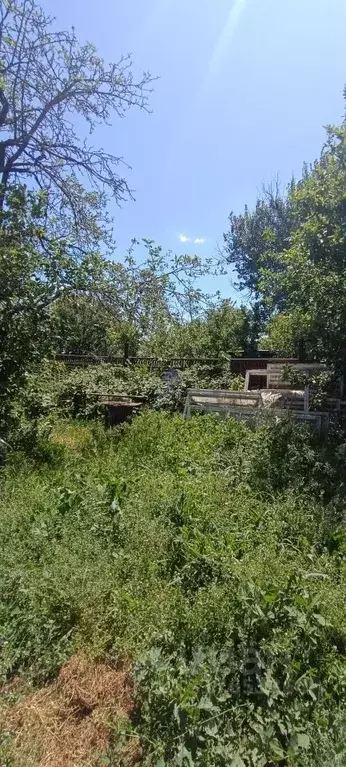 Участок в Ростовская область, Волгодонск Набережная ул., 11 (9.6 сот.) - Фото 1
