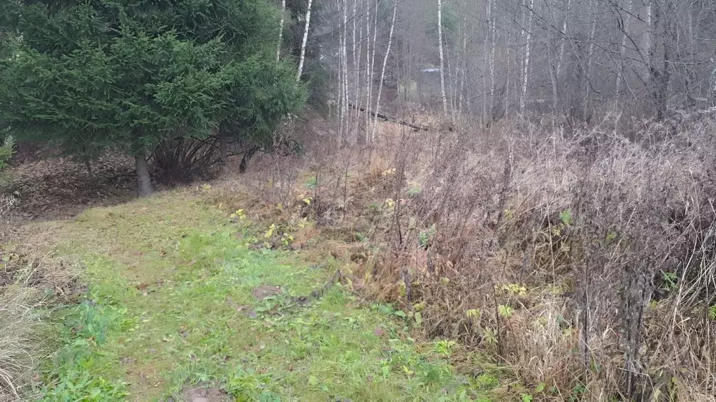 Участок в Владимирская область, Александровский муниципальный округ, ... - Фото 1