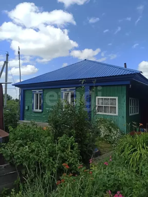 Дом в Алтайский край, Красногорский район, с. Березовка  (45 м) - Фото 1