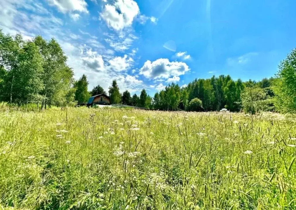 Участок в Тульская область, Тула городской округ, с. Борщевка  (100.0 ... - Фото 0