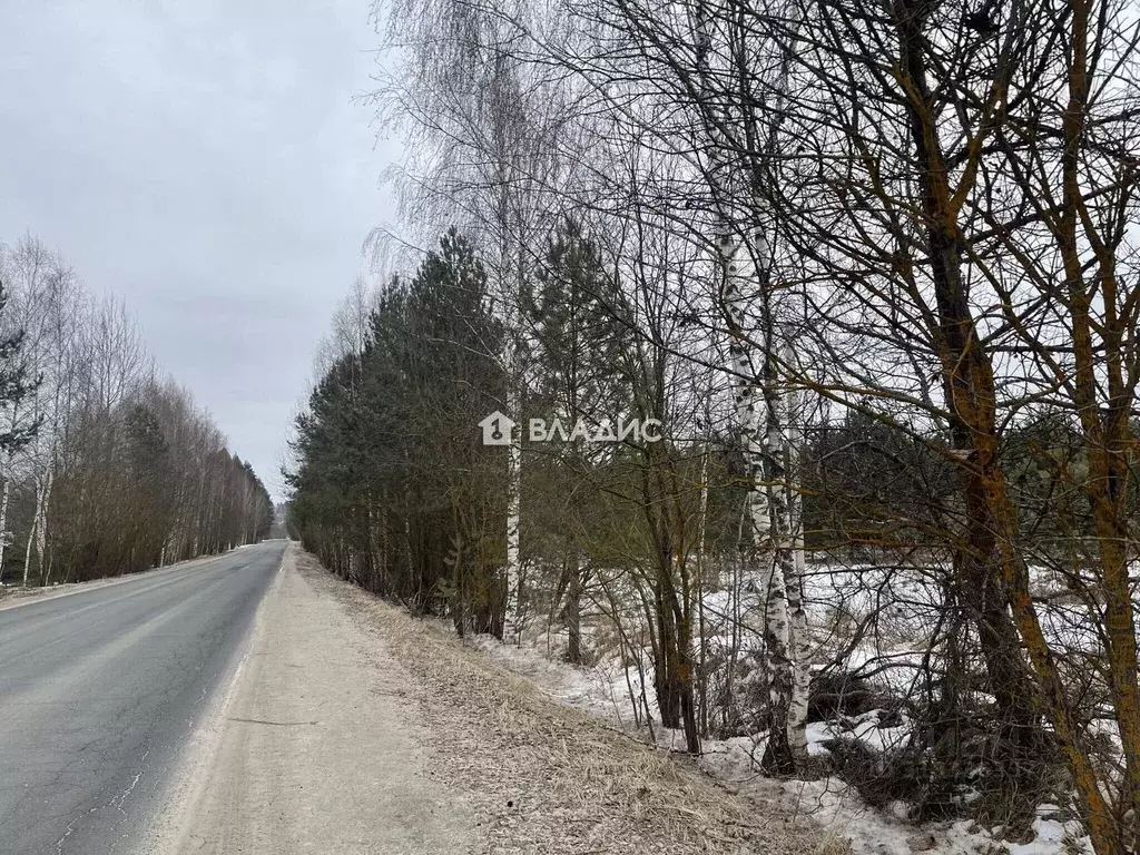 Участок в Владимирская область, Судогодский район, Лавровское ... - Фото 1